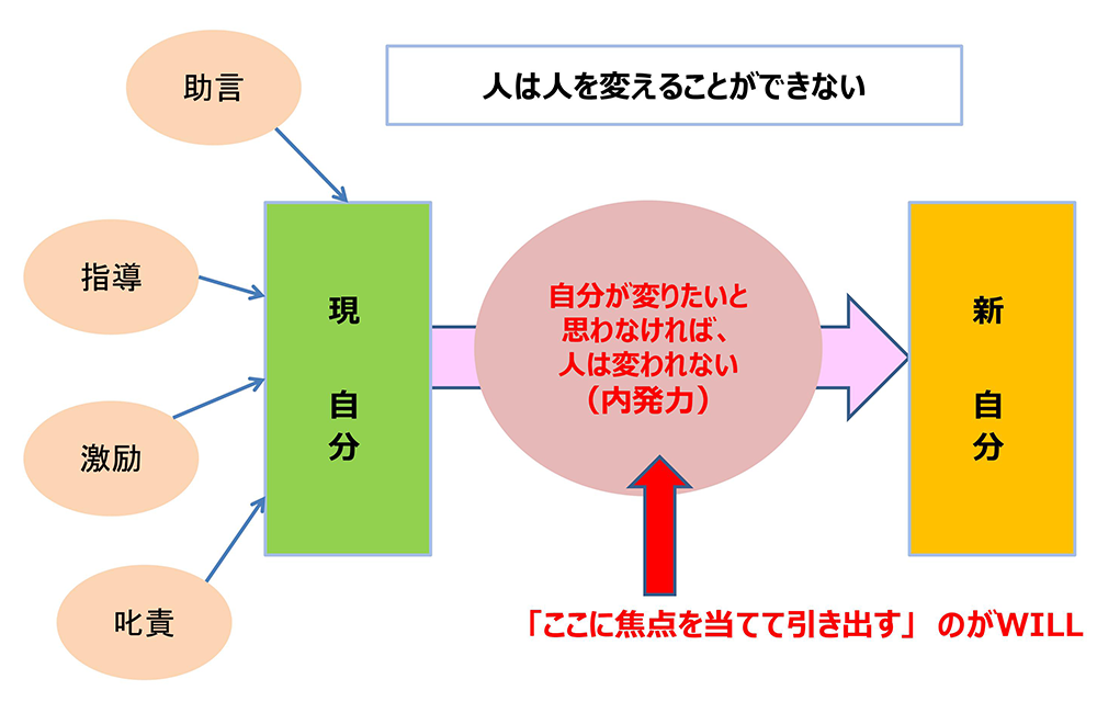 育成のポイント